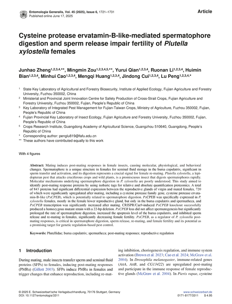 Image of first page of: 