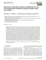 Image of first page of: Advances in wheat pest resistance mediated by the soil–root exudate–plant resistance interaction system under crop rotation