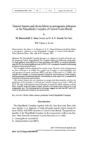 Image of first page of: Textural features and
olivine fabrics as petrogenetic indicators in the Niquelãndia Complex
of Central Goiás (Brasil)