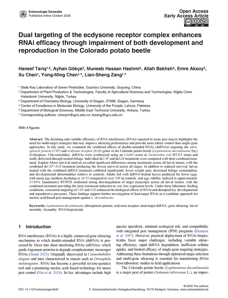 Dual targeting of the ecdysone receptor complex enhances RNAi efficacy ...